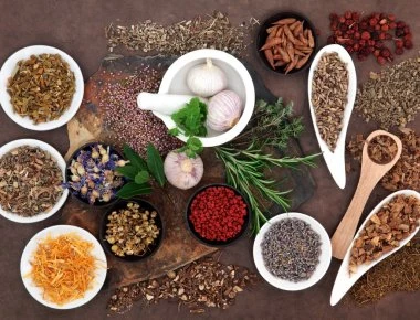 Τα 8 καλύτερα αντιβιοτικά της φύσης που καταπολεμούν τα βακτήρια στο σώμα μας